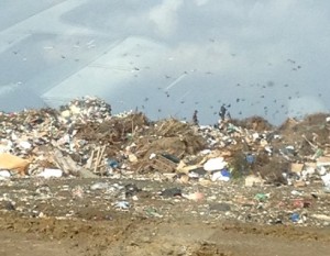landfill 2