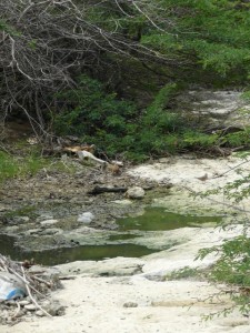 Ongezuiverd rioolwater bij Playa Kanoa - foto: Michelle da Costa Gomez