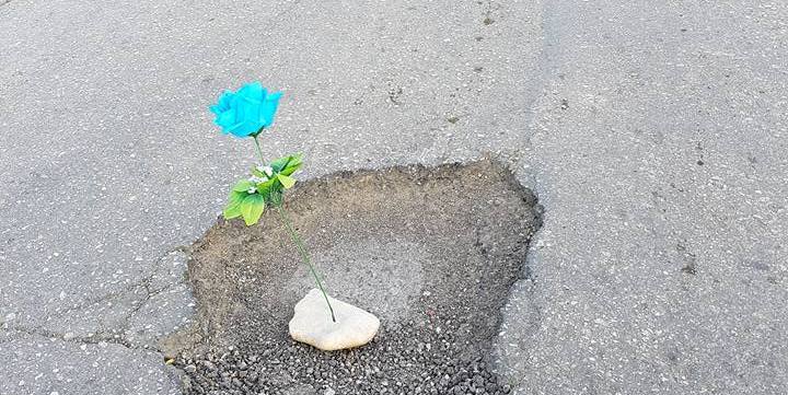 Bloemen vullen gaten in wegen Bonaire