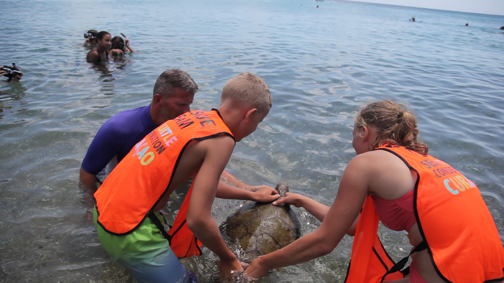 Gewonde schildpadden redden tijdens je schoolvakantie