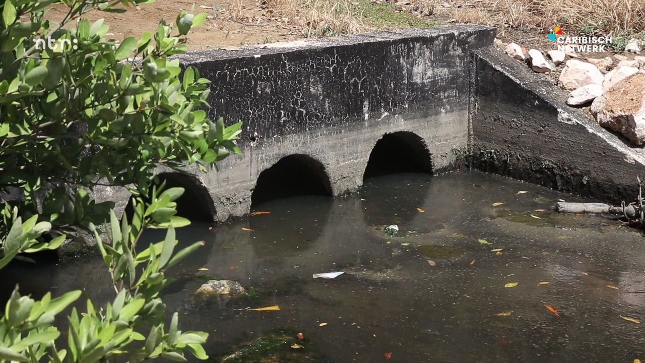 Afvalwater ziekenhuis Curaçao wordt al jaren geloosd in mangrovegebied