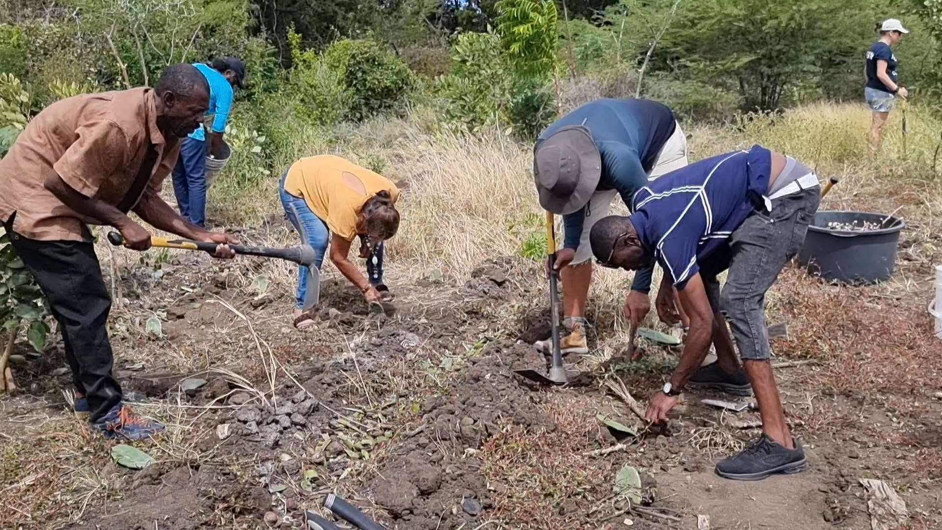 Voedselbossen Curaçao helpen ook Venezolaanse immigranten integreren