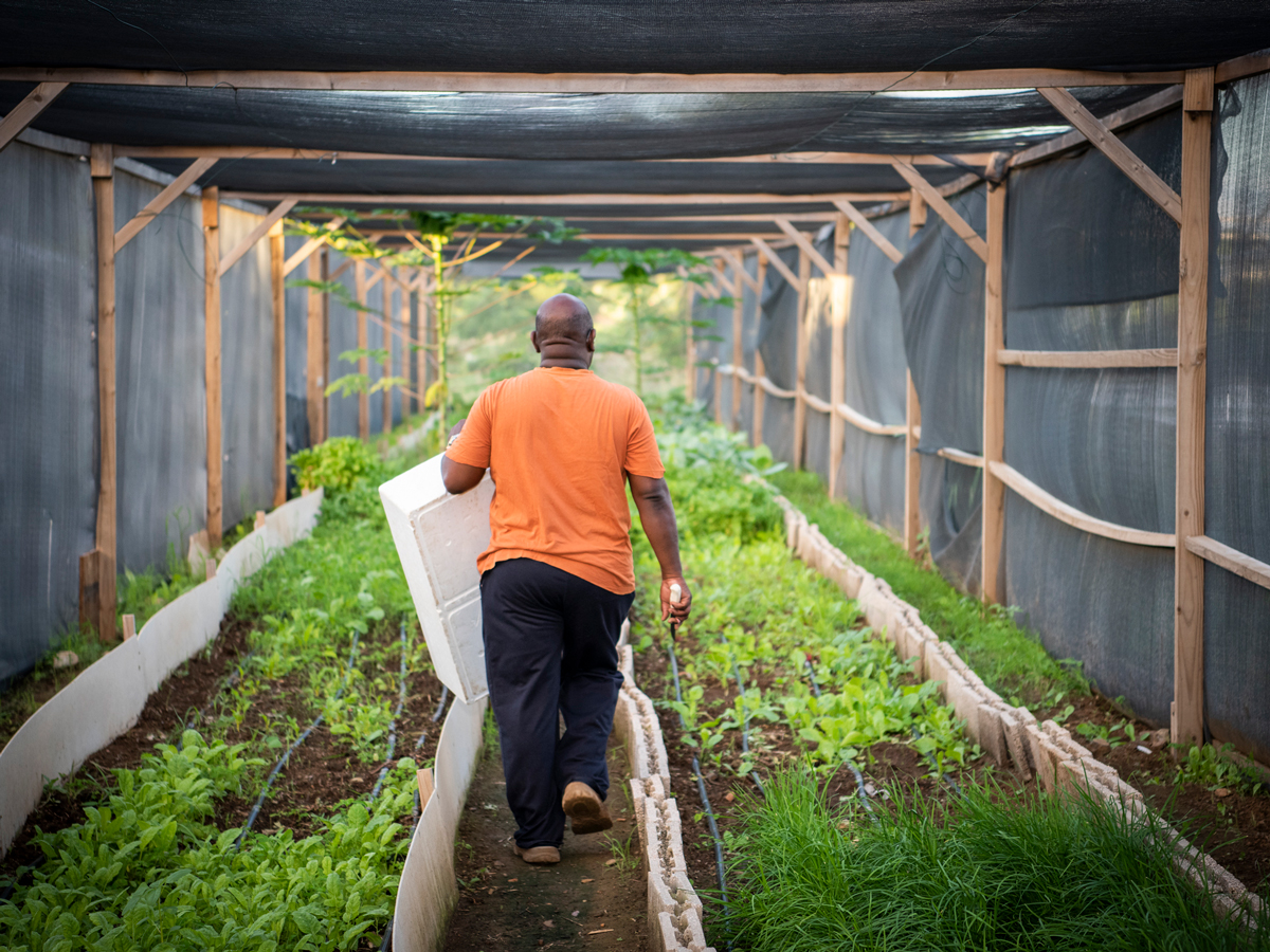 Curaçaose boeren volop in de spotlights: ‘Zo kies je makkelijk voor producten van het eiland zelf’