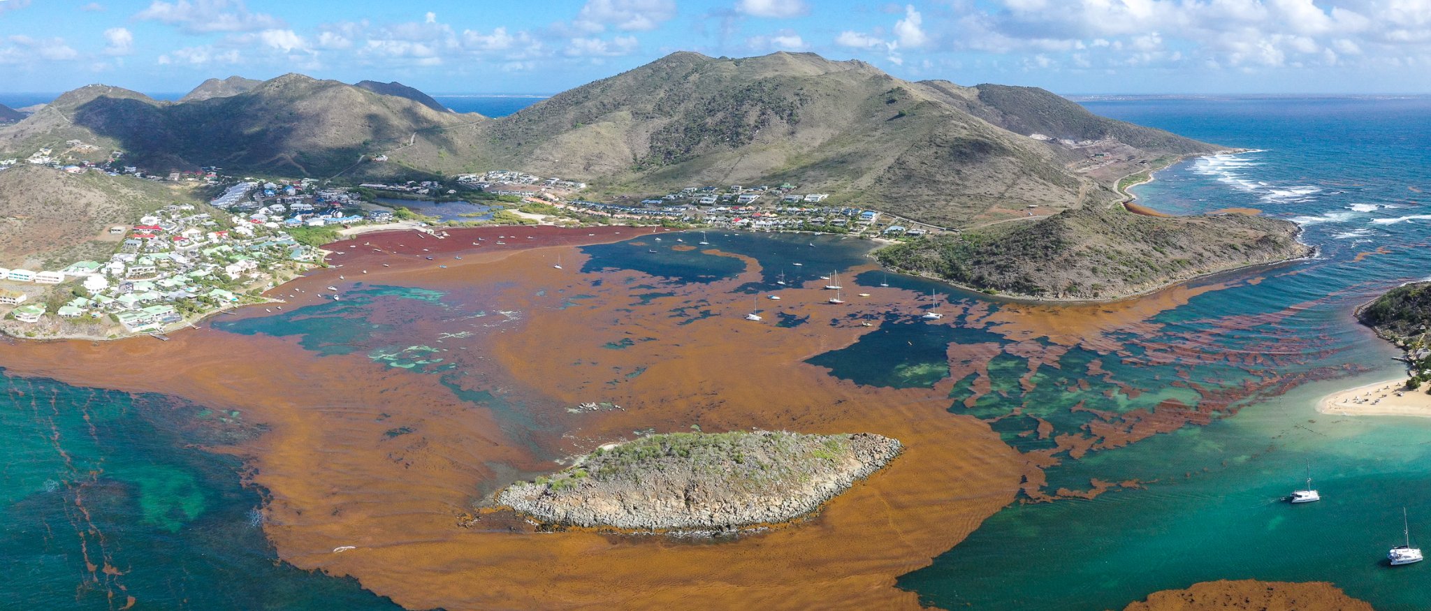 Sint-Maarten overspoeld met kilometers aan zeewier.. dankzij klimaatverandering