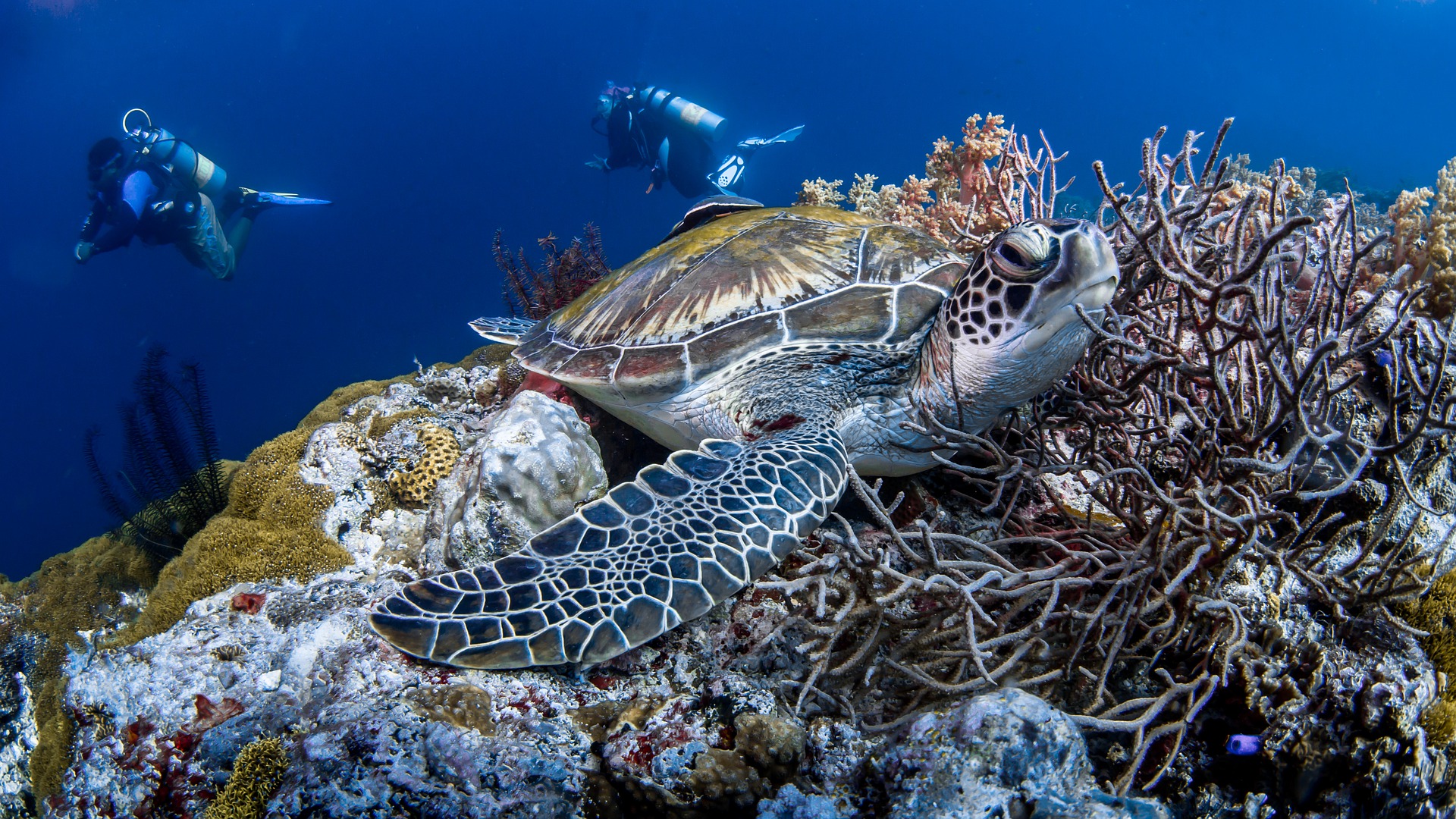 Klimaatverandering: 9 redenen waarom er meer actie nodig is op de Caribische eilanden