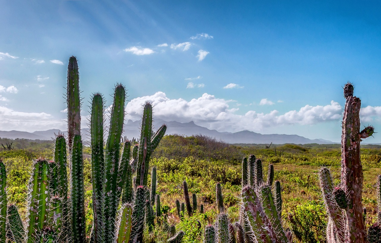 Wat te doen met 15.000 illegale terreinen op Curaçao?