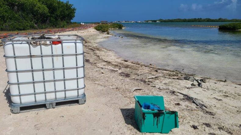 Aangespoelde olie op Bonaire: ‘Nu onder controle, maar nog niet gerust’