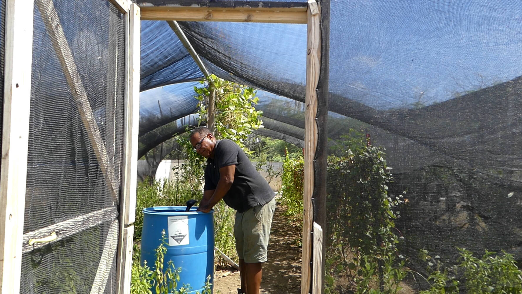 ‘Boeren op Bonaire zouden óók subsidies moeten krijgen’