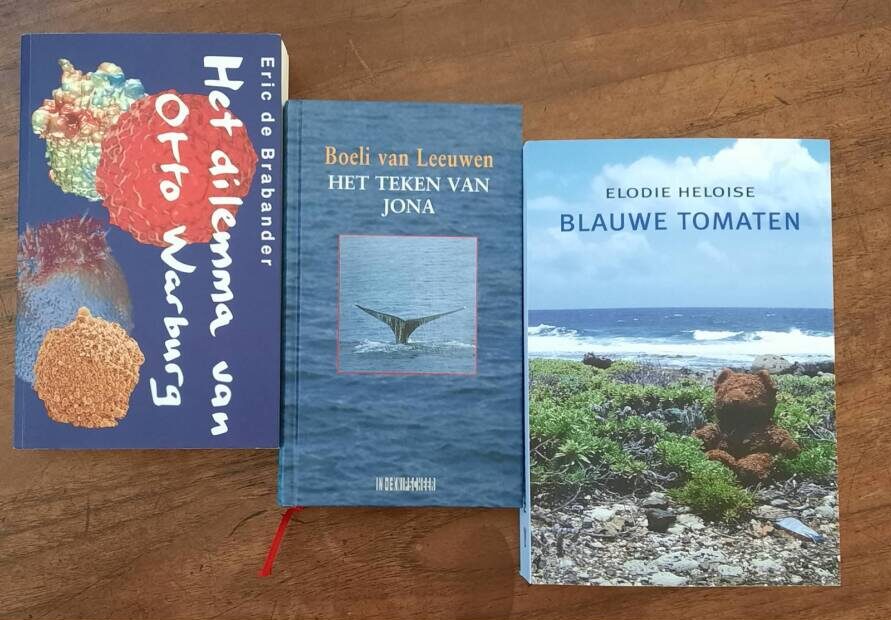 ‘Dit is slecht nieuws voor Caribische schrijvers’