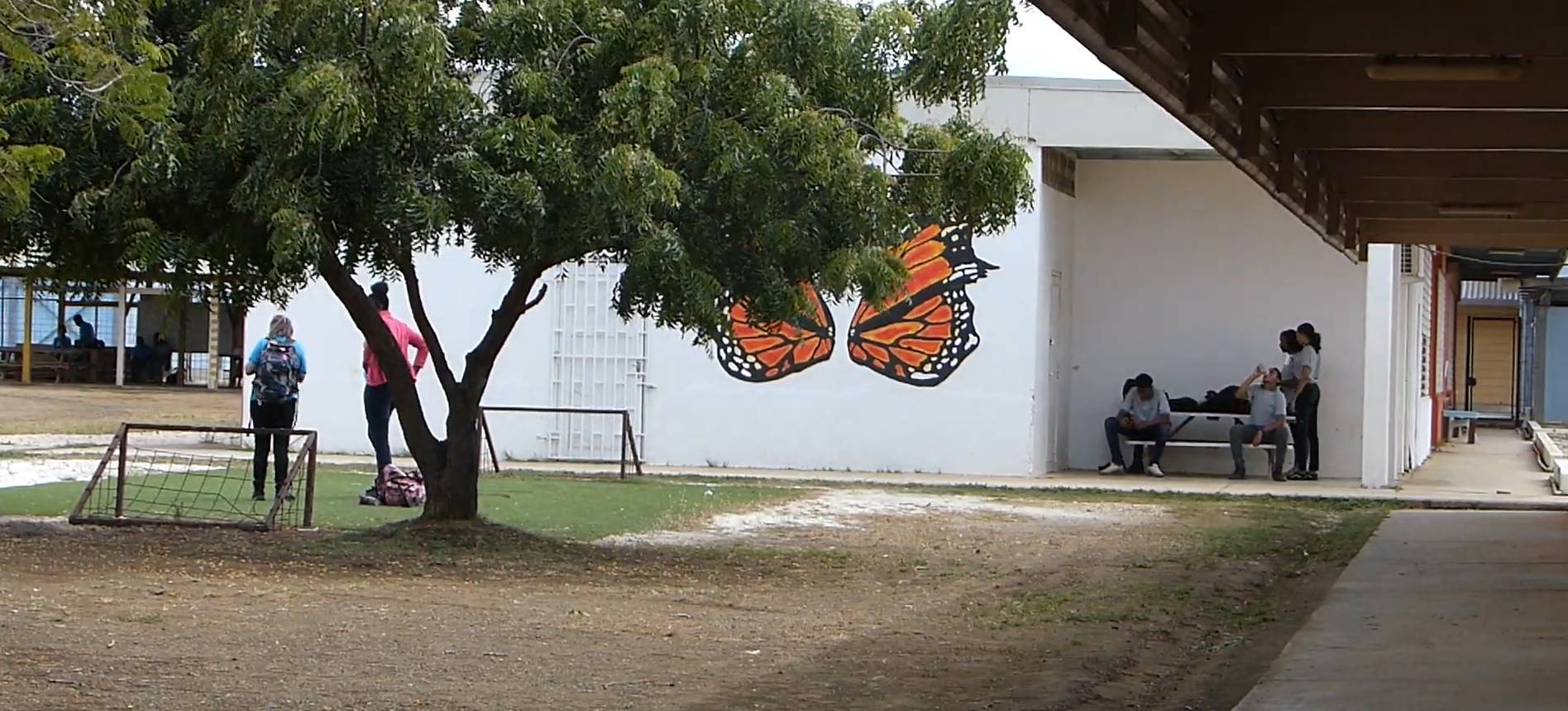 ‘Dit systeem remt onze kinderen’: Bonaire trekt aan de bel over Papiamentu (1)